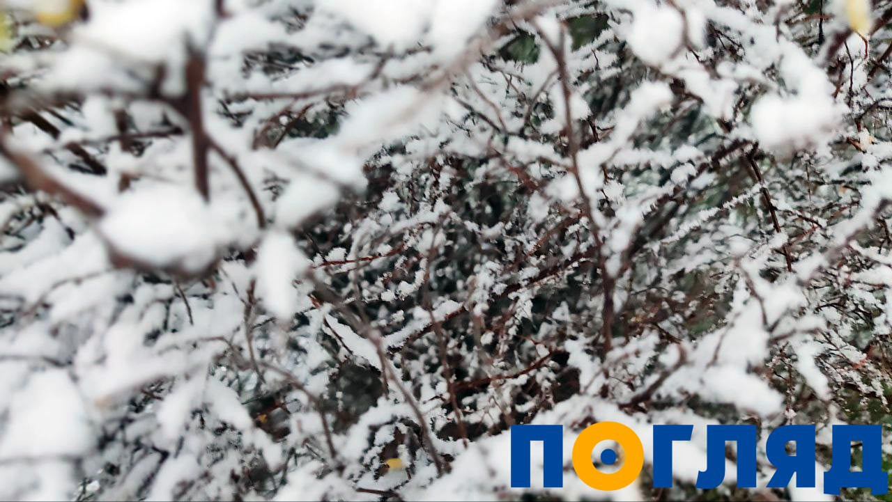 На Київщині випав перший сніг: ФОТО - 1 - зображення